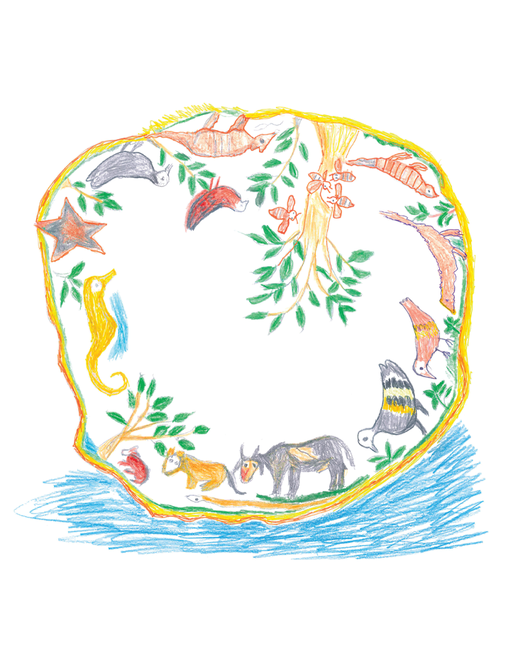 MEMÓRIA VIVA,  SABERES E FAZERES